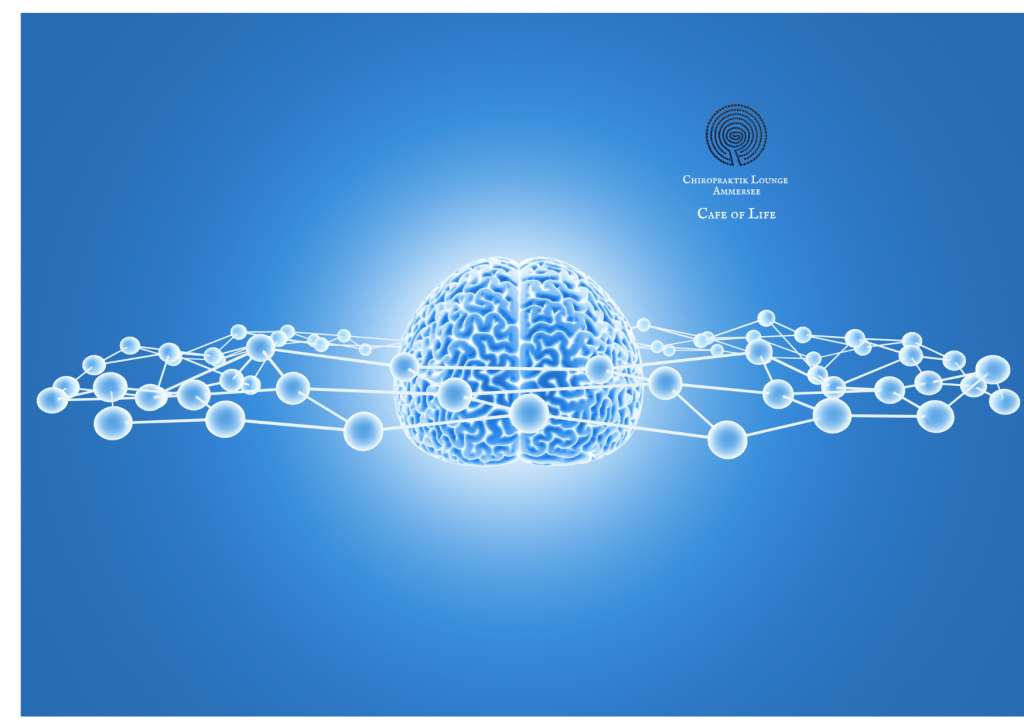 Die Kraft der Wahrnehmung