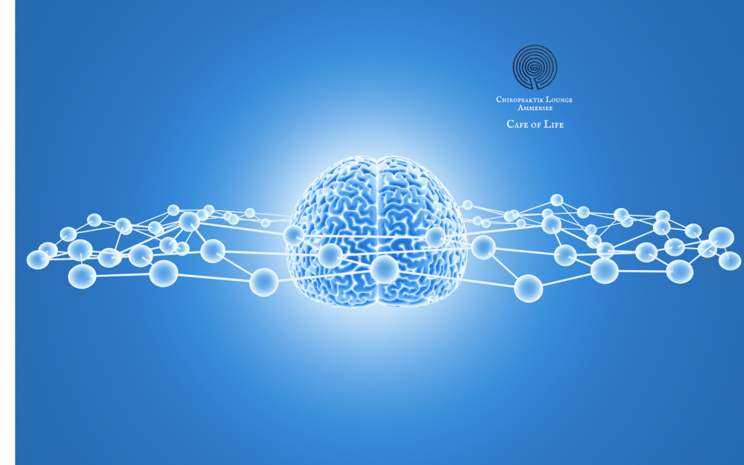 Die Kraft der Wahrnehmung – was ich bei einer Fortbildung lernen durfte