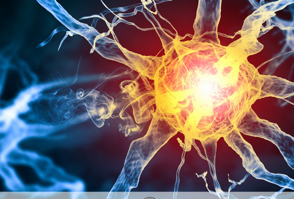 Chiropraktik und Zellregulation: Wie der Körper sich selbst steuert Gene bestimmen nicht alles: