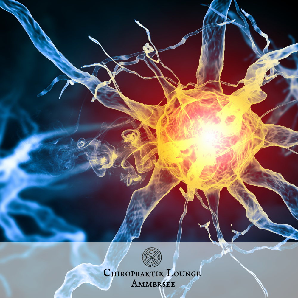 Chiropraktik und Zellregulation: Wie der Körper sich selbst steuert Gene bestimmen nicht alles: